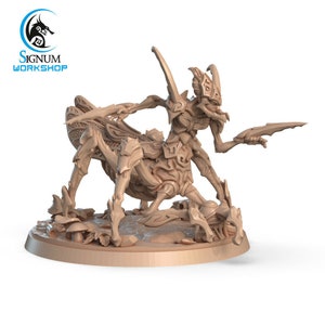 Locust Assassin Insectoid Creature - Signum Games - Fantasy Dungeons and Dragons