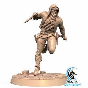 Pigon, the Shadow Strike - Signum Games - Fantasy Dungeons and Dragons Mini