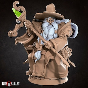 Pode incluir: Uma figura em miniatura detalhada de um mago com uma longa barba branca, usando um chapéu de abas largas e uma longa túnica. Ele segura um cajado com uma gema verde no topo.