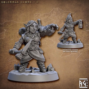 Gnome Fighter / Cleric D ALTERNATE - Artisan Guild - Dungeons and Dragons