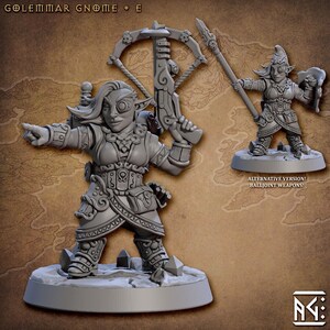 Gnome Fighter E ALTERNATE - Artisan Guild - Dungeons and Dragons