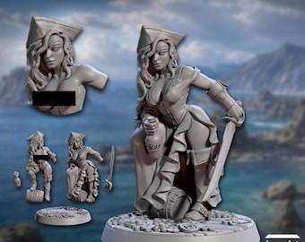 Arabella Crow Pirate Wench Pinup SFW - Artisan Guild - Dungeons and Dragons