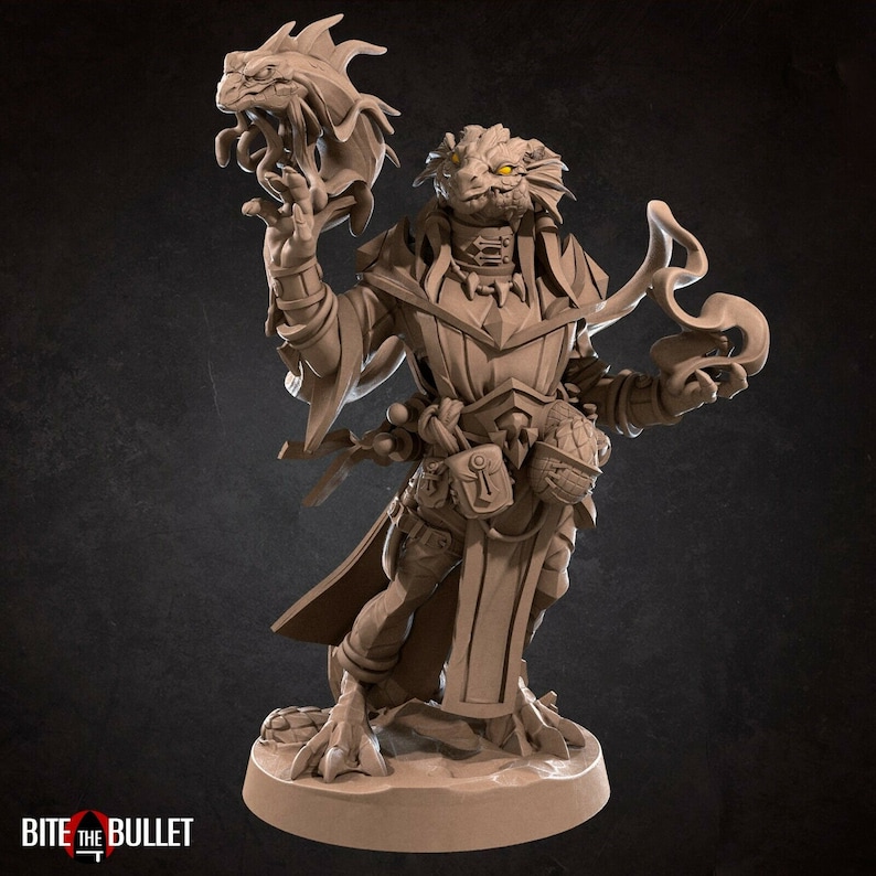 d&d dragonborn sorcerer miniature