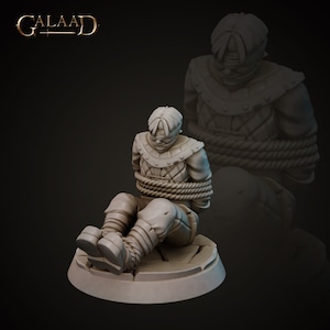 Guard NPC Hostage - Rogue / Theif- Galaad Miniatures - Dungeons and Dragons