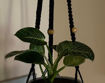 Black macrame plant hanger