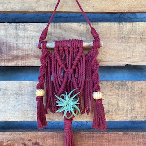 Macrame air plant hanger