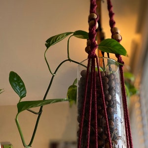May include: A burgundy macrame plant hanger with wooden beads holds a glass vase filled with brown pebbles. A green plant with long vines hangs from the vase.