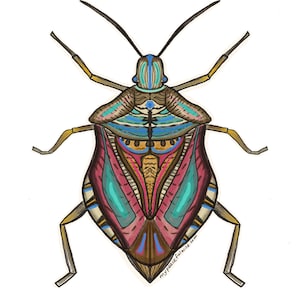 Colorful Beetle Art Print, Insect art, Kids Room Decor, Boho Wall Art, Colorful Bug Painting, Beetle illustration, bug print, stinkbug art