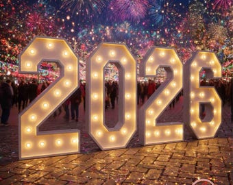 3D Light Up Marquee Numbers - Custom Year Number (2026) & Age Numbers (18th) for Parties - Includes Standing Frame - LED Event Decor