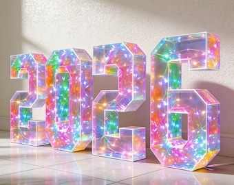 Grandes lettres et chiffres personnalisés pour chapiteau, grandes enseignes lumineuses à LED pour la décoration de toile de fond de photo de mariage d'événement sur scène