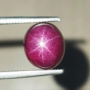 May include: A deep magenta star ruby gemstone with a smooth, polished cabochon cut. The stone displays a distinct six-rayed star pattern, known as asterism, centered on its surface. The oval-shaped gem is held securely by metal tweezers.