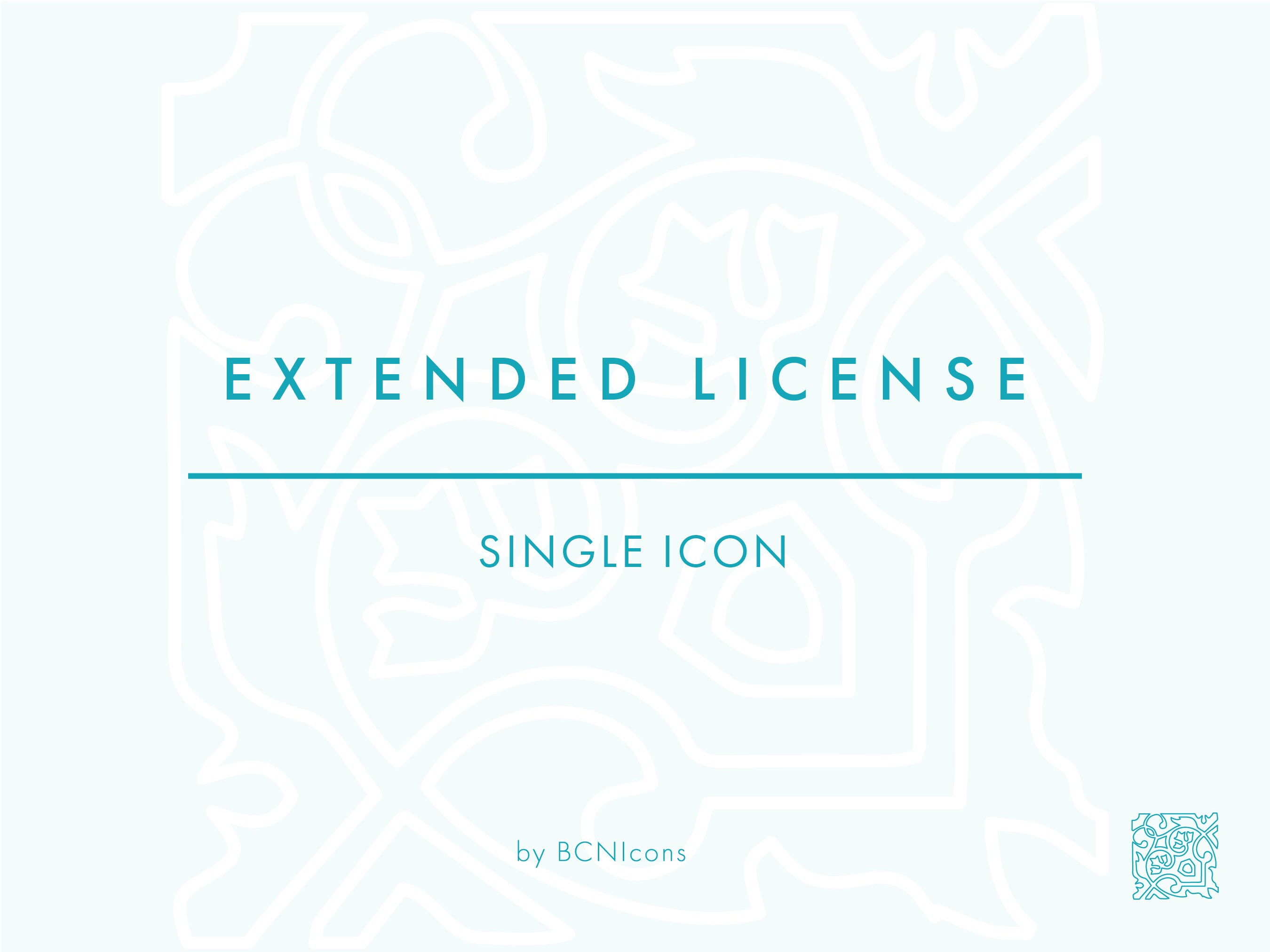 EXTENDED LICENSE: Single Icon