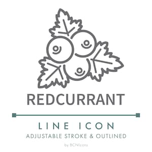Może przedstawiać: Szara ikona liniowa porzeczek i liści z napisem "REDCURRANT" poniżej. Tekst "LINE ICON" i "ADJUSTABLE STROKE & OUTLINED" jest również obecny. Ikona znajduje się na białym tle.