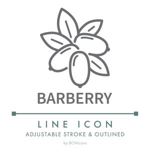 May include: A gray line icon featuring a cluster of barberry fruits and leaves. Below the graphic, the text reads BARBERRY, LINE ICON, ADJUSTABLE STROKE & OUTLINED, and by BCNIcons. The design uses clean, simple lines to depict the botanical subject.