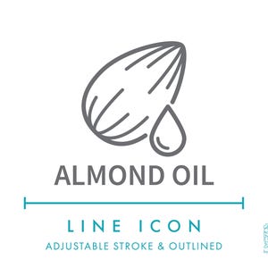 Icône de ligne d'huile d'amande SVG, icône d'emballage alimentaire naturel d'huile végétale végétalienne PNG, symbole de vecteur de produit sain biologique d'huile de noix végétale