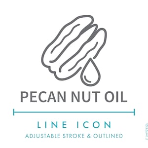 Icône de ligne d'huile de noix de pécan SVG, icône d'emballage alimentaire naturel d'huile végétale végétalienne PNG, symbole de vecteur de produit sain biologique d'huile de noix de pécan