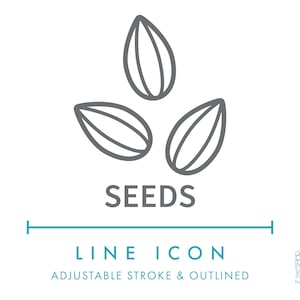 Icono de línea de material de joyería de semillas SVG, icono de tipo de joyería natural minimalista PNG, símbolo vectorial de categoría de colección de accesorios de bisutería