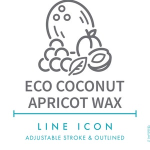 Icono de línea de cera de albaricoque de coco ecológico SVG, imágenes prediseñadas de embalaje de velas de cera vegana ecológica, vector de símbolo de fabricación de velas de plantas orgánicas naturales