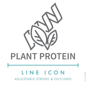 Icône de ligne de protéines végétales SVG, icône de symbole de nourriture de nutrition de protéine végétalienne minimaliste PNG, icône de vecteur d'ingrédients nutritionnels de boisson protéinée