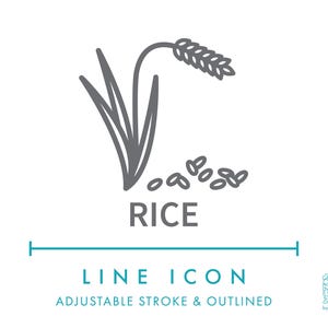 Icono de línea de ingrediente alimentario de arroz (SVG), sabor de grano de arroz, especias, clipart (PNG), símbolo nutricional de cereal de arroz.