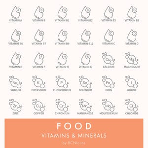 Pacote de ícones de linha com símbolos de vitaminas e minerais em SVG, clipart minimalista de ingredientes alimentares em PNG, conjunto de ícones vetoriais de símbolos de embalagens de suplementos alimentares