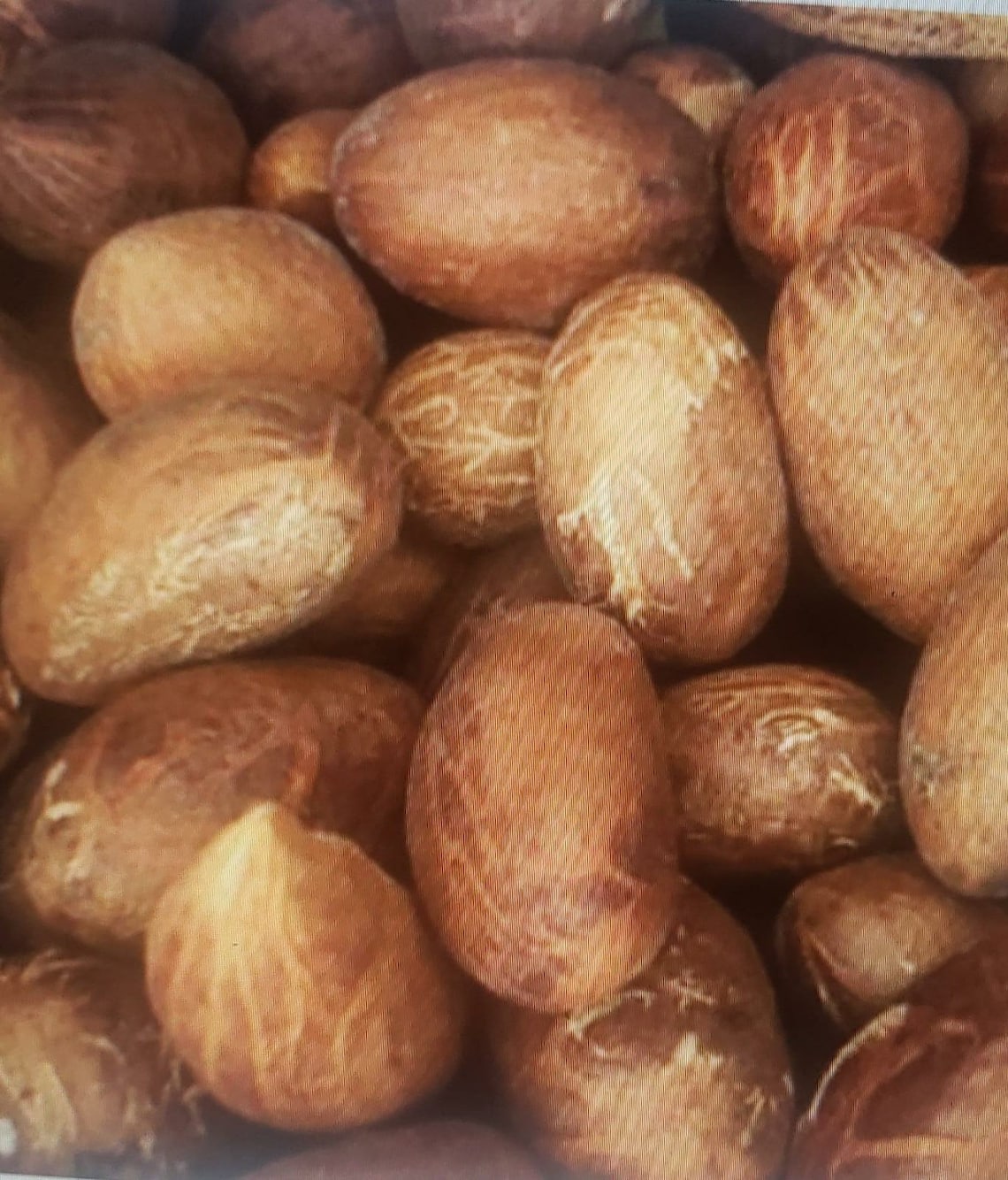 24 Organic Bitter Kola Nut Garcinia Kola 1LB W/Africa Etsy