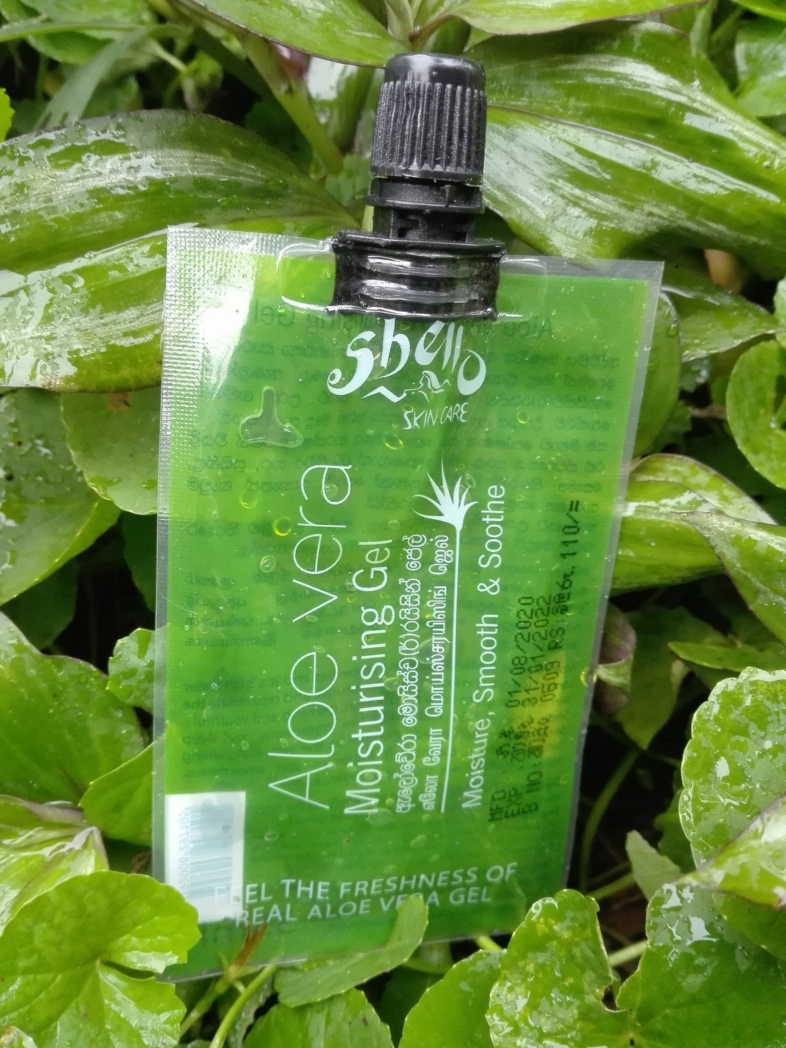 ALOE VERA 1 PCS Shello Aloe Vera Gel Pure Natural Organic Etsy