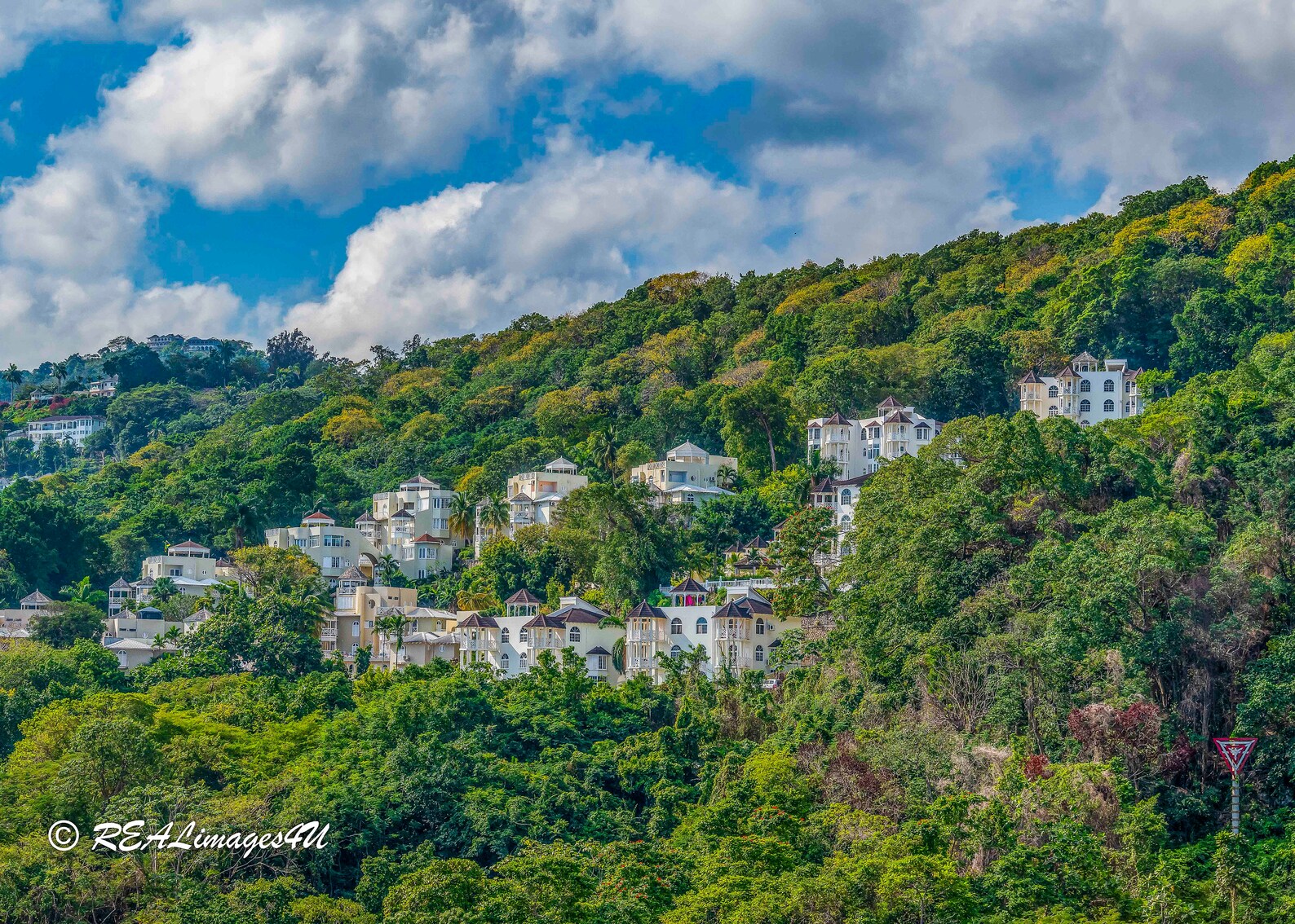 Jamaican Hillside - Etsy