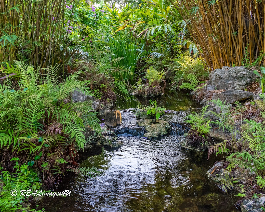 Botanical Gardens Water Feature - Etsy