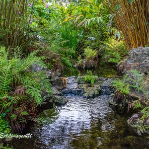 Botanical gardens water feature