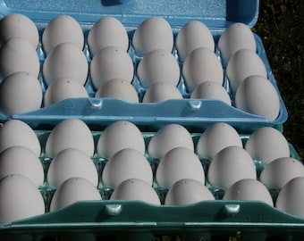 Eggshells - "L" size, Hand Blown Real Chicken Eggs, Pisanki, Pysanky, Eastern Eggs, Egg art, Egg crafts.