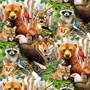 Könnte beinhalten: Eine farbenfrohe Illustration mit verschiedenen Tieren, darunter Bären, ein Wolf, ein Hirsch, ein Waschbär, ein Puma und Vögel. Die Tiere sind vor einem Hintergrund aus Bäumen und Blättern platziert.