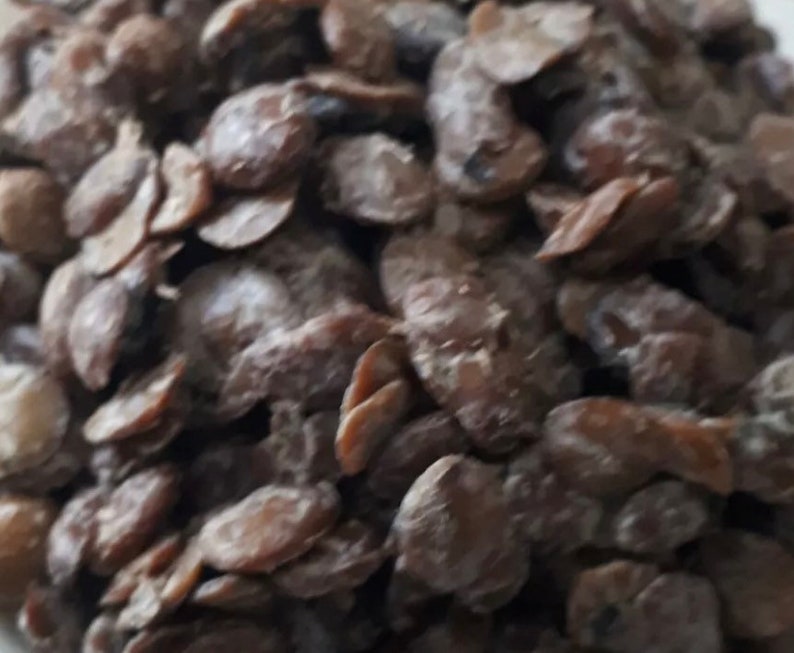 Dry African Locust Beans/Iru/Dawadawa 50g Authentic aroma Etsy