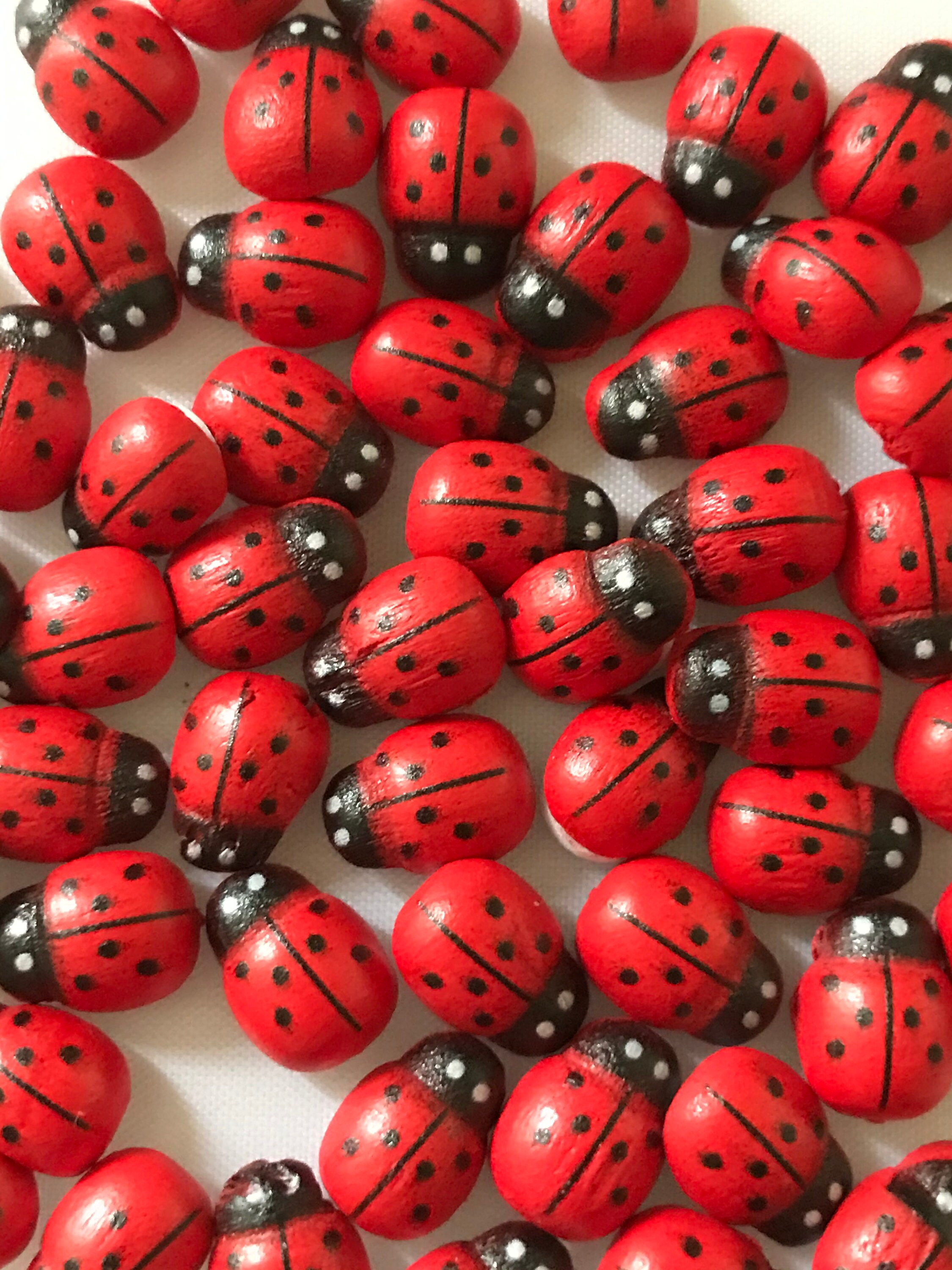 Wooden Miniature Ladybirds x 50 for Crafts Scrapbooking Etsy Wooden Miniature Ladybirds x 50 for Crafts Scrapbooking Etsy