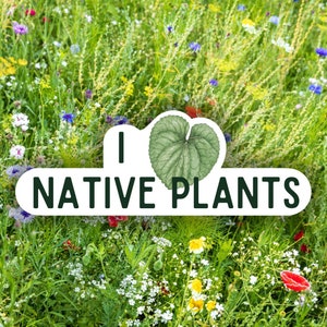 I Love Native Plants Sticker.