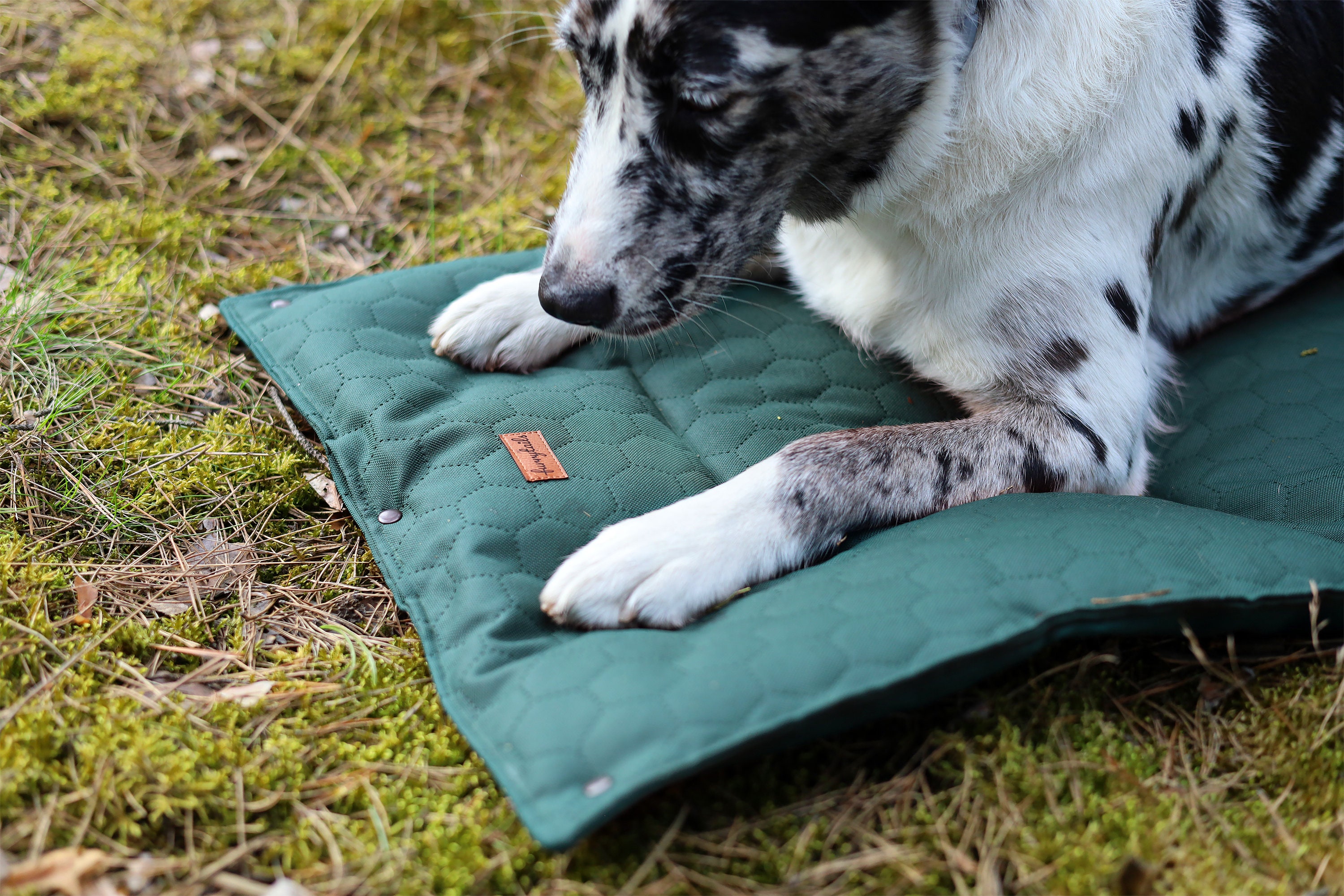 dog travel mat pattern