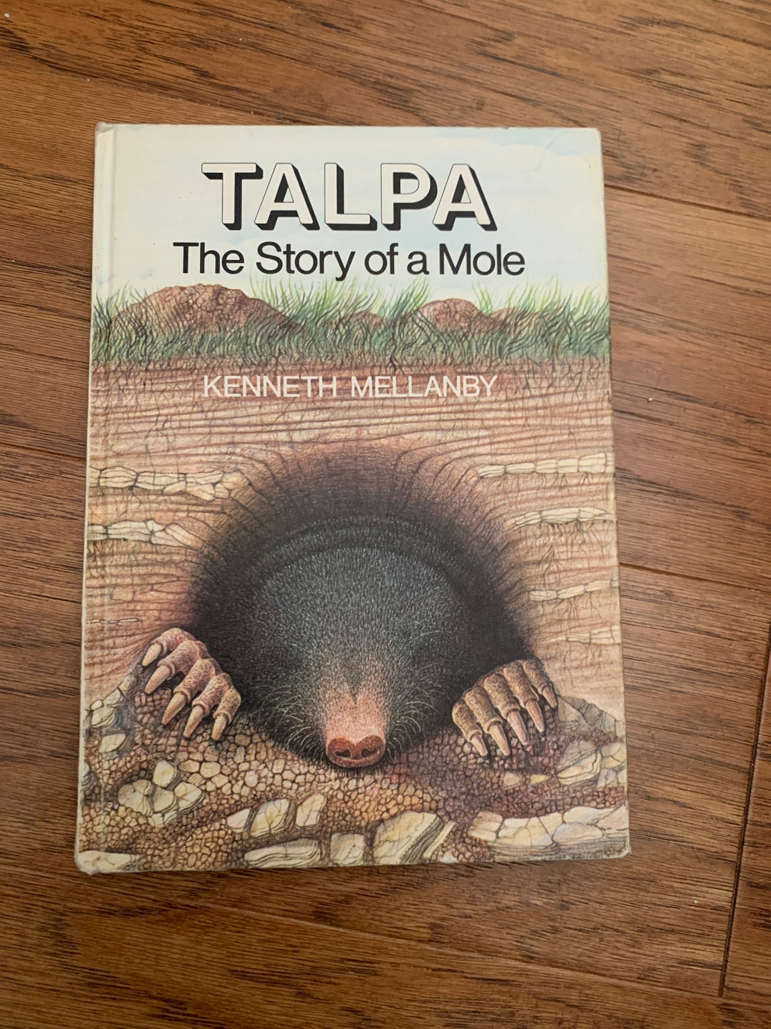 TALPA the Story of A Mole KENNETH MELLANBY illustrated by Bert Kitchen ...