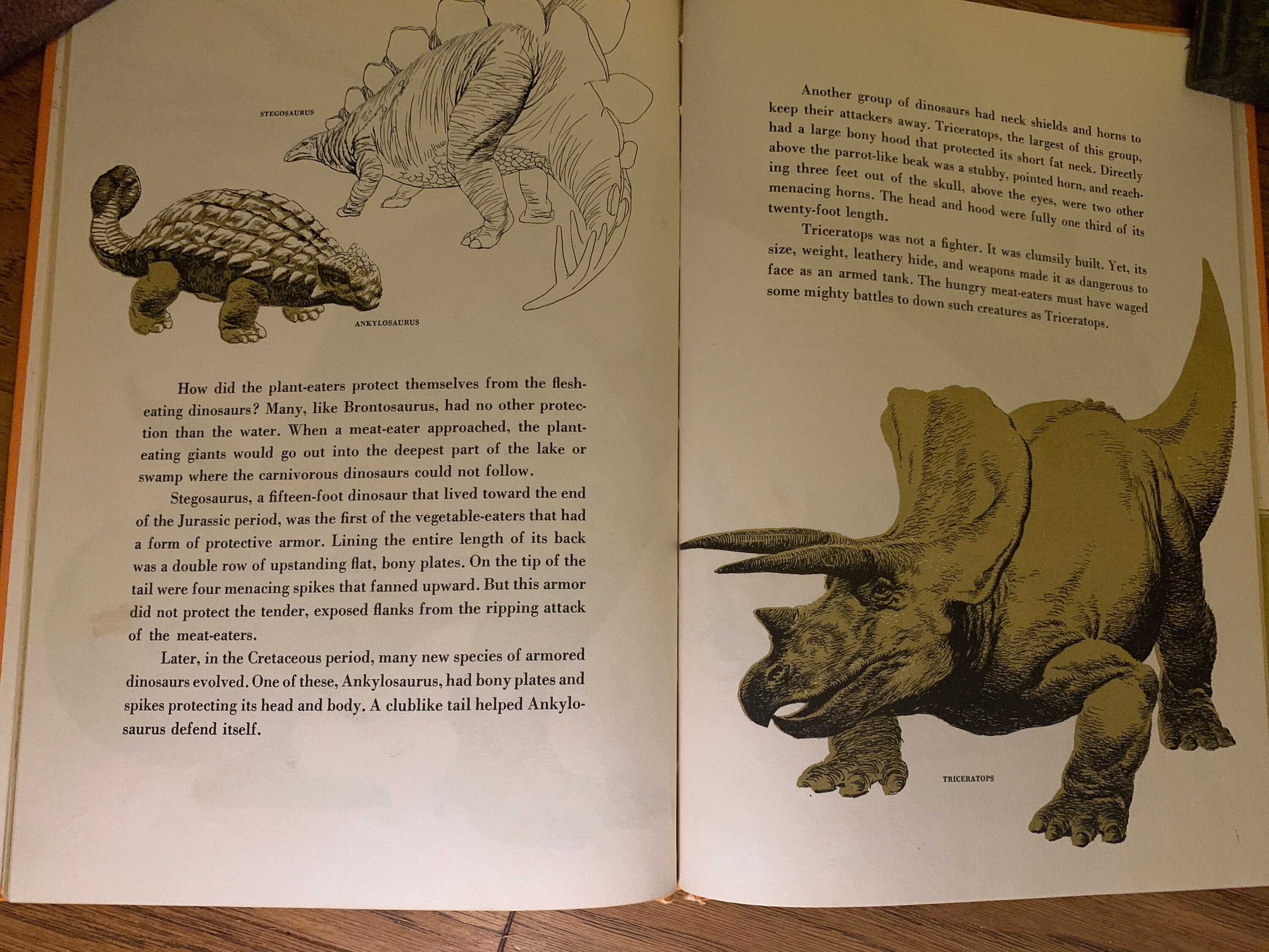 The Rise and Fall of the Dinosaurs RARE nearly Extinct 1963 