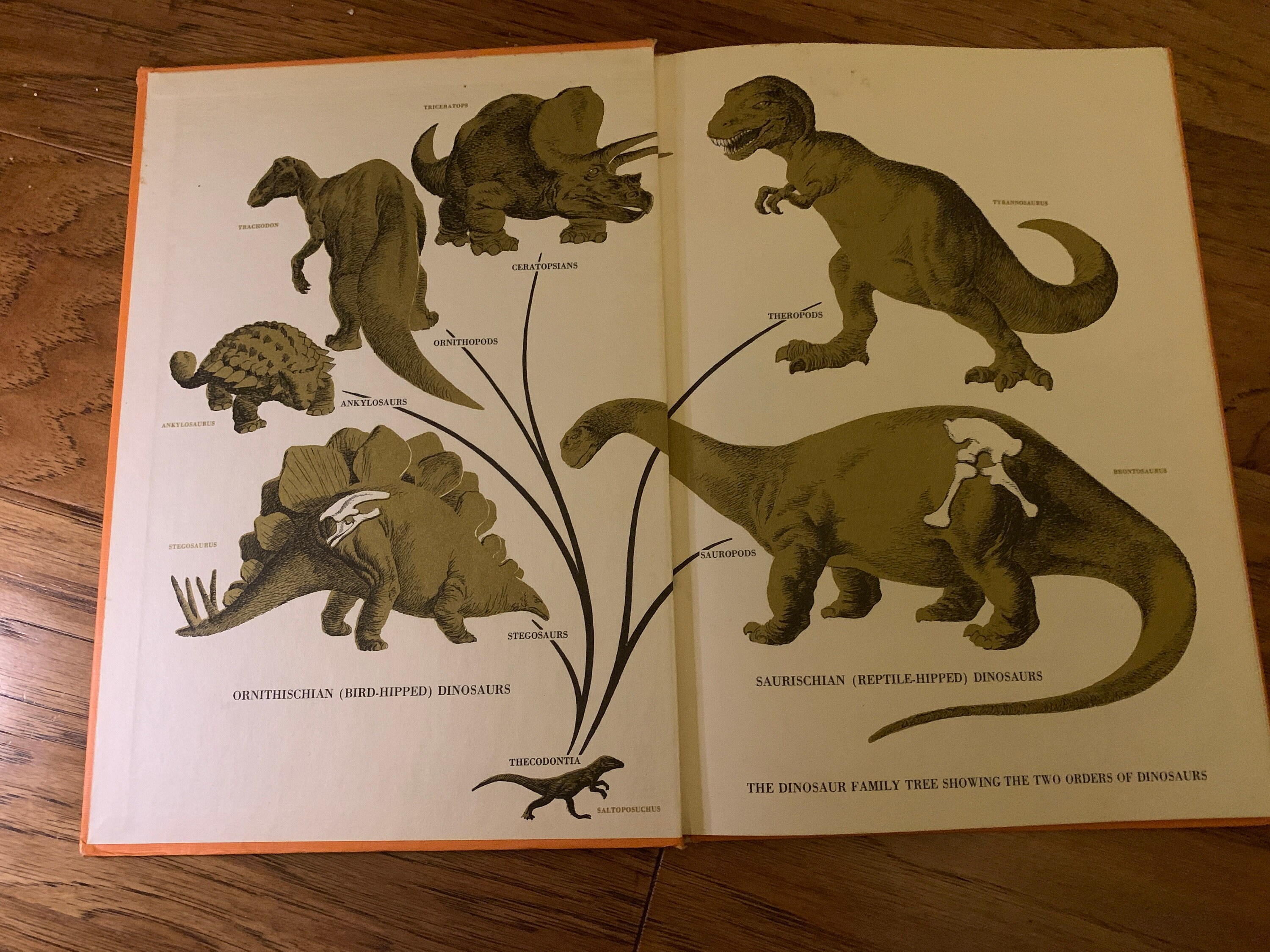The Rise and Fall of the Dinosaurs RARE nearly Extinct 1963 