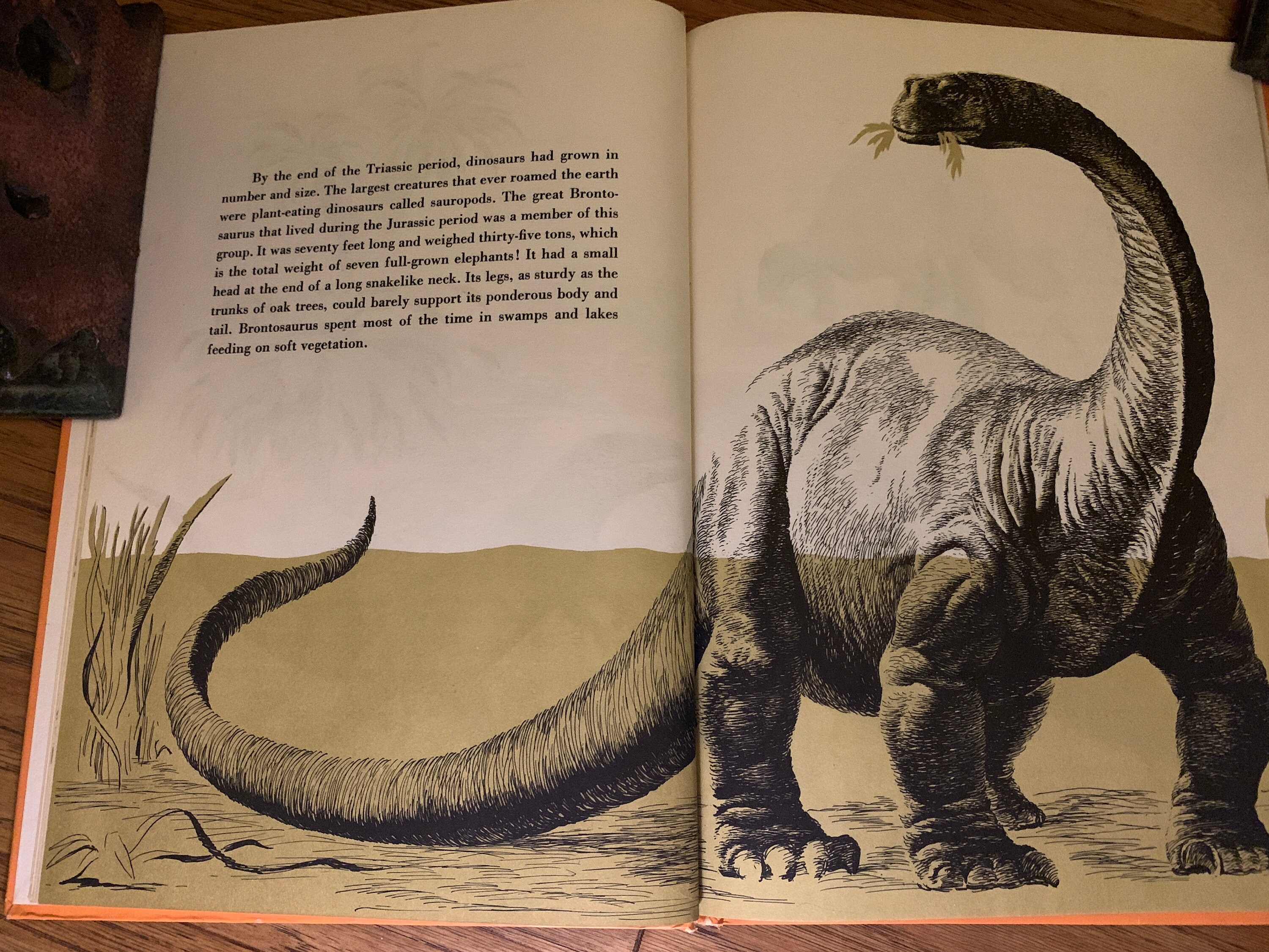 The Rise and Fall of the Dinosaurs RARE nearly Extinct 1963 