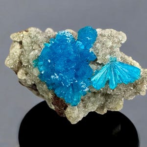 Rare Blue Cavansite with Stilbite Cluster