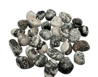Tree Agate Tumbled Stones, Polished Crystals, Available in 1 kg bags