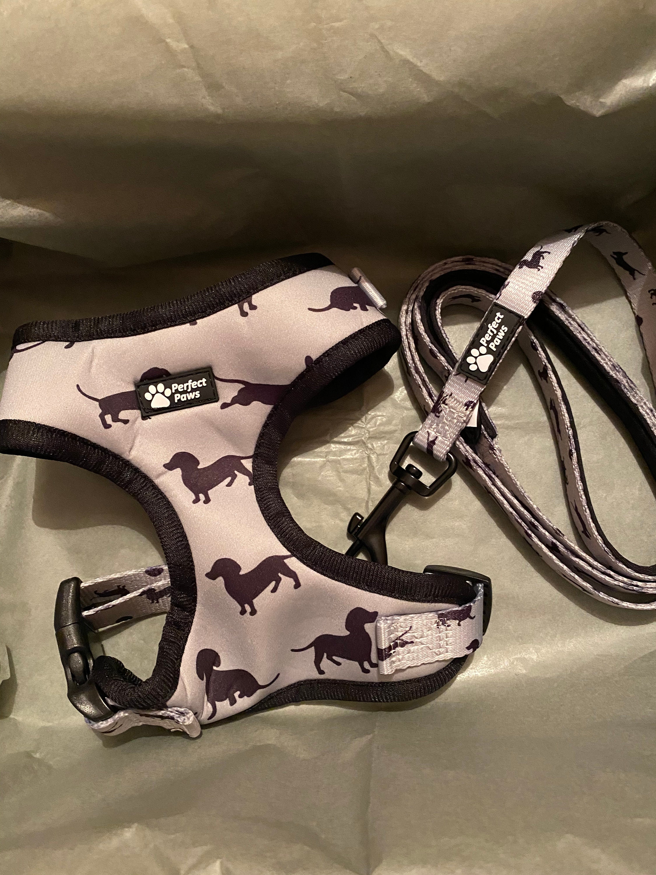 Dachshund Harness and Lead Etsy UK