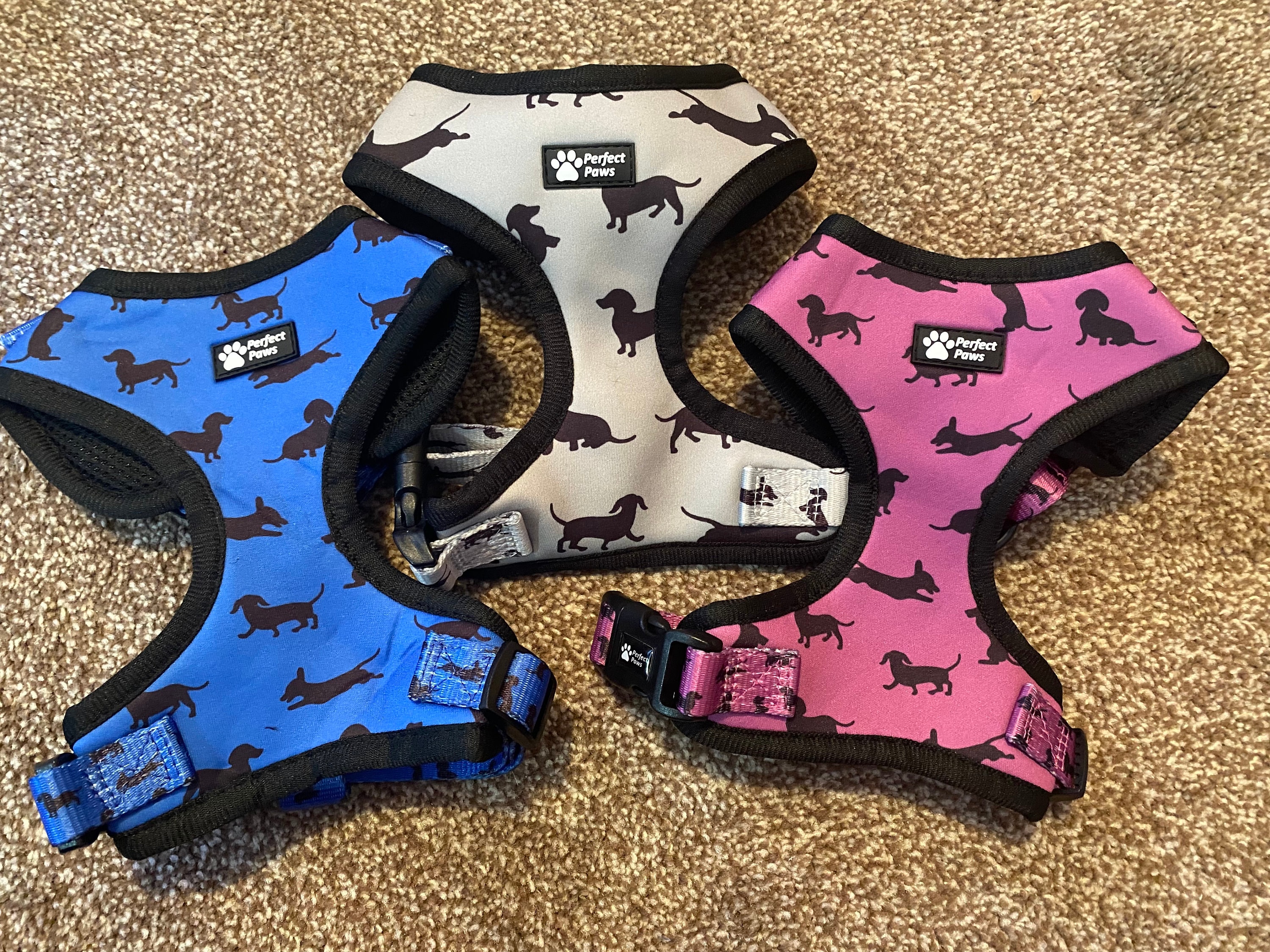 Dachshund Harness Etsy