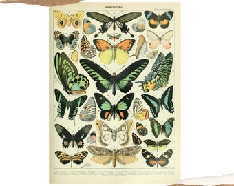 sustainable tapestry