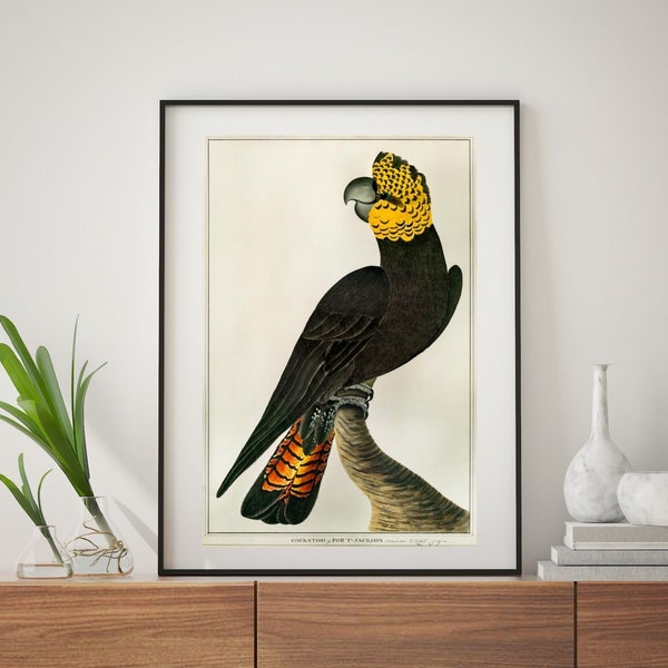 Vintage Art Prints - Etsy Australia