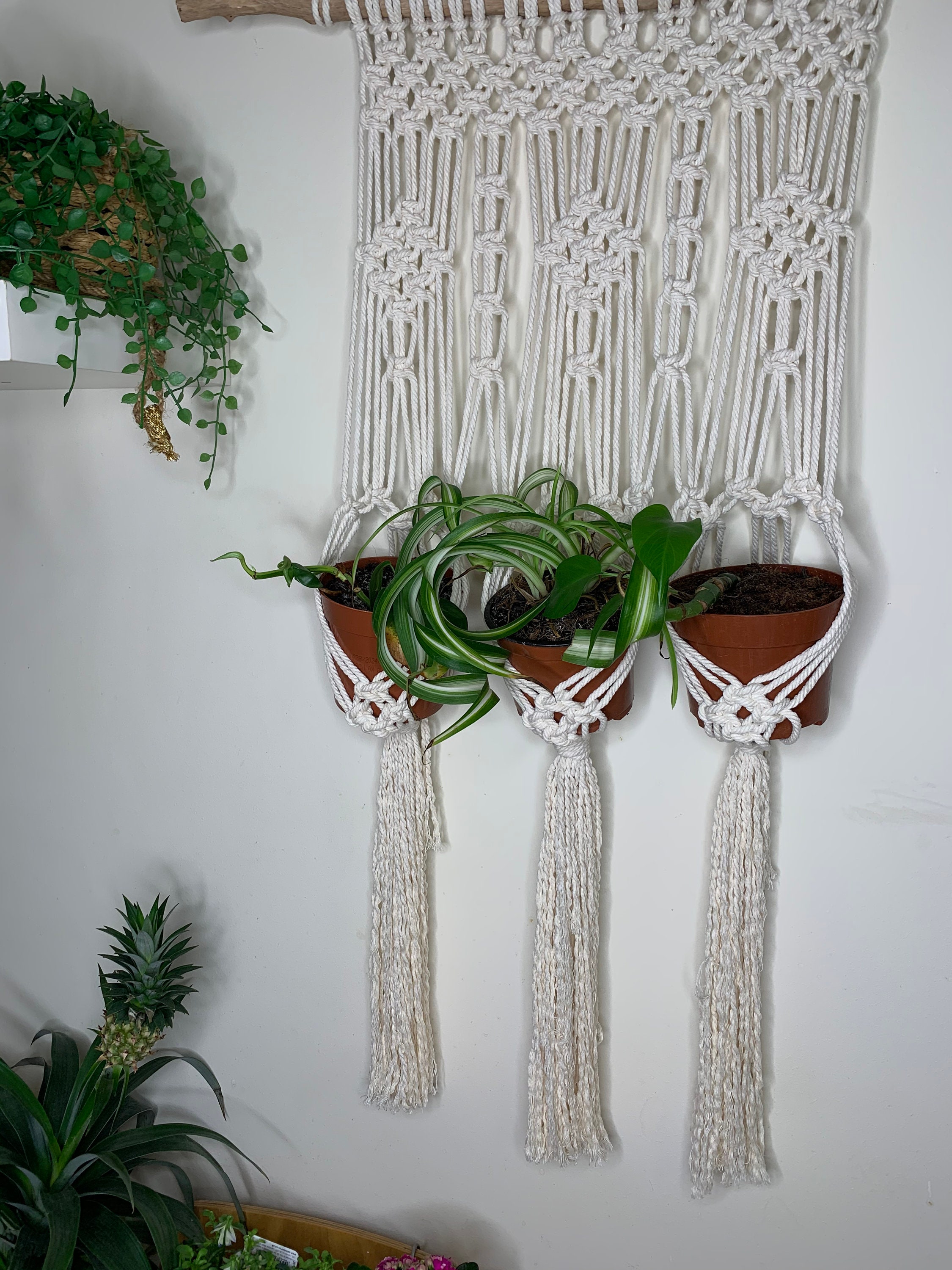 3 plant macrame hanger. Hanging baskets on wooden stick boho Etsy