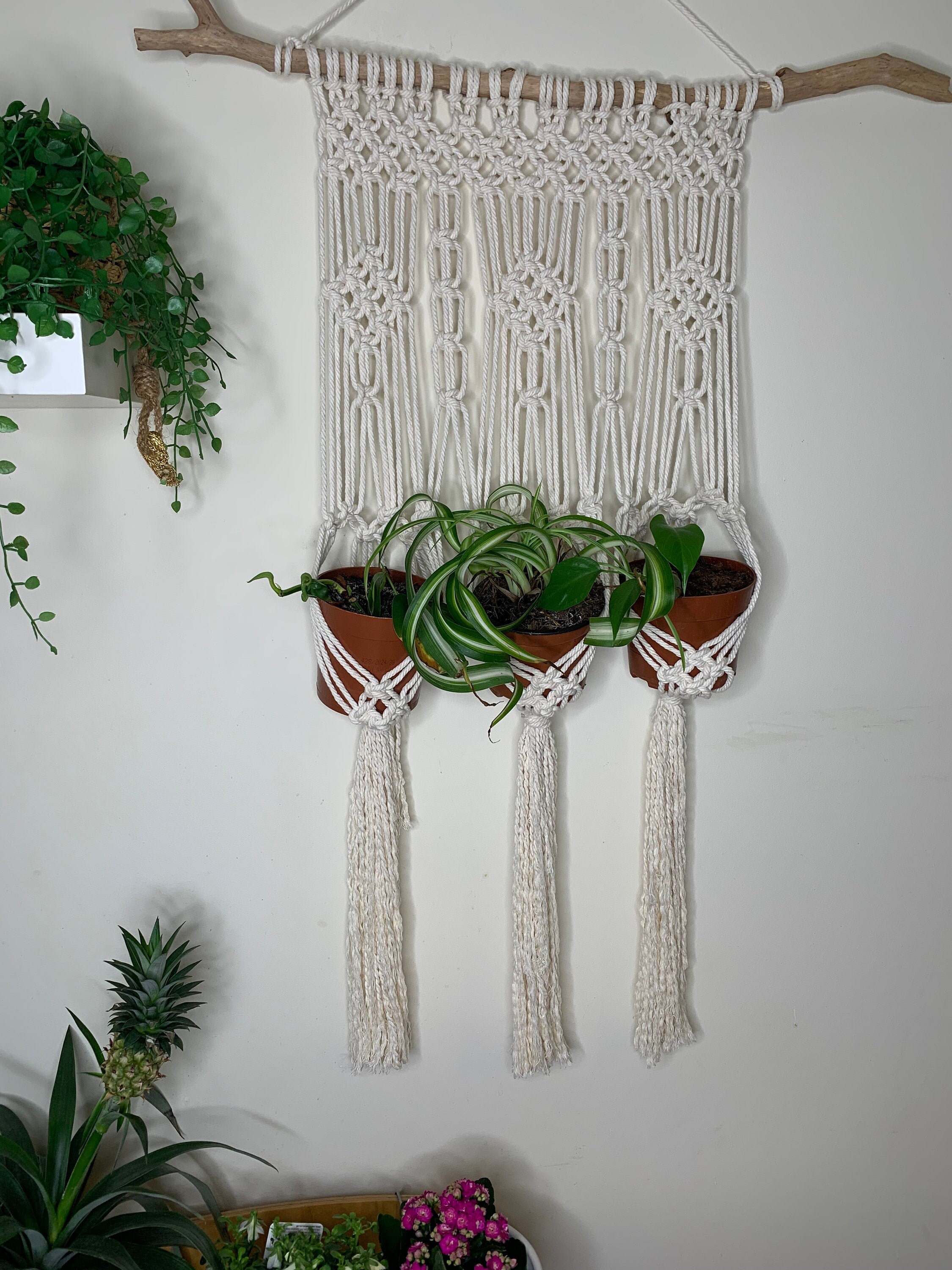 3 plant macrame hanger. Hanging baskets on wooden stick boho Etsy