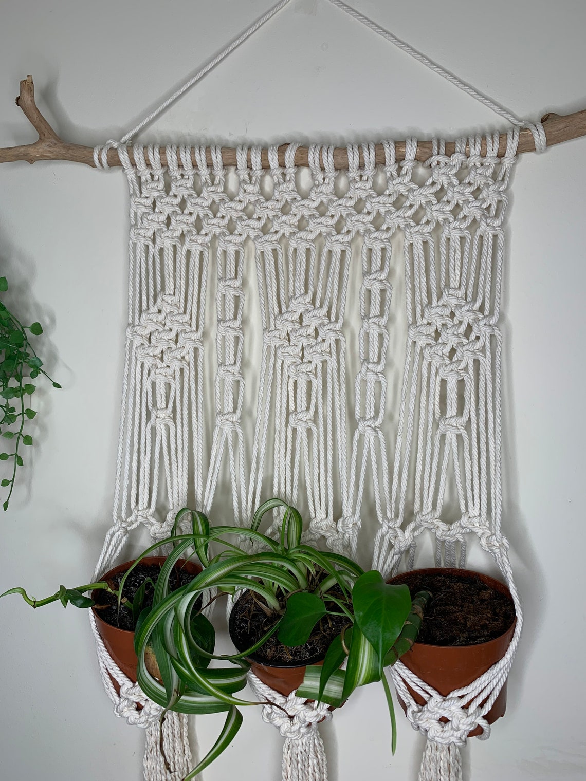 3 plant macrame hanger. Hanging baskets on wooden stick boho Etsy