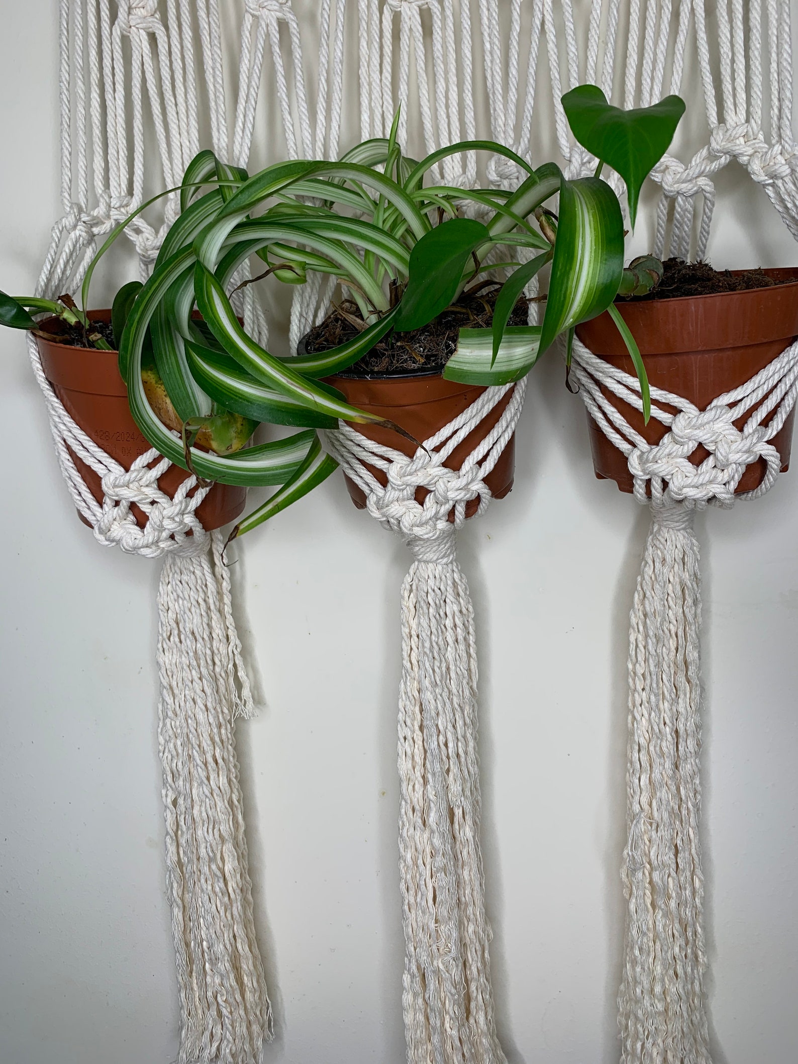 3 plant macrame hanger. Hanging baskets on wooden stick boho Etsy